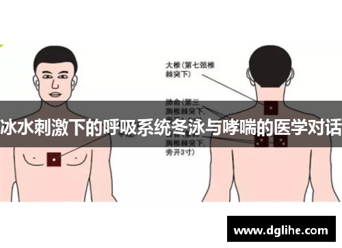 冰水刺激下的呼吸系统冬泳与哮喘的医学对话