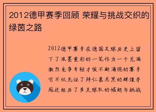 2012德甲赛季回顾 荣耀与挑战交织的绿茵之路