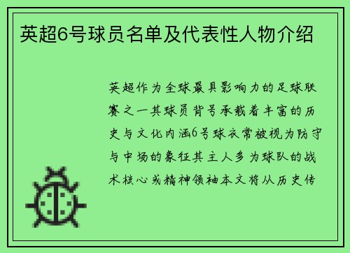 英超6号球员名单及代表性人物介绍